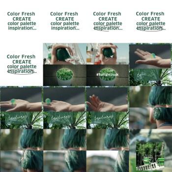 Color Fresh Create Instagram post 4