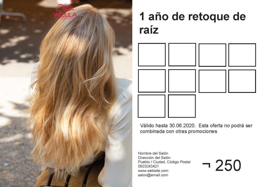 Blondor Service pass