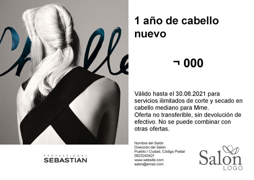 Sebastian Service Pass