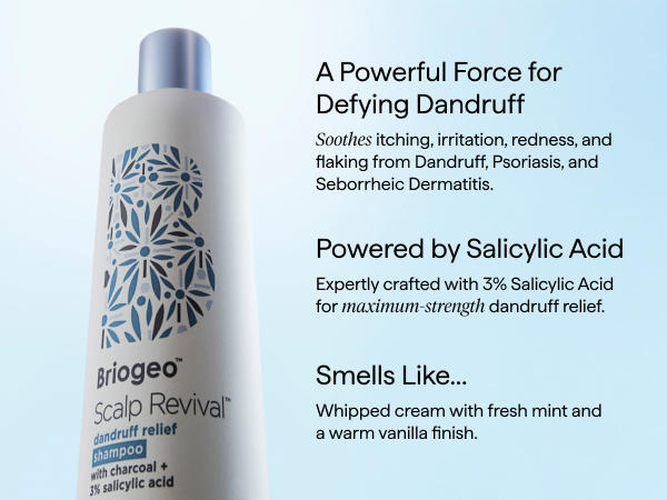 Briogeo_FY26-SR-Dandruff-Relief_Amazon-A+_OTC-Sham