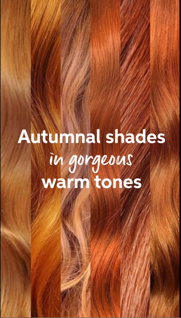 Pumpkin Spice get inspired IG Story 2.mp4