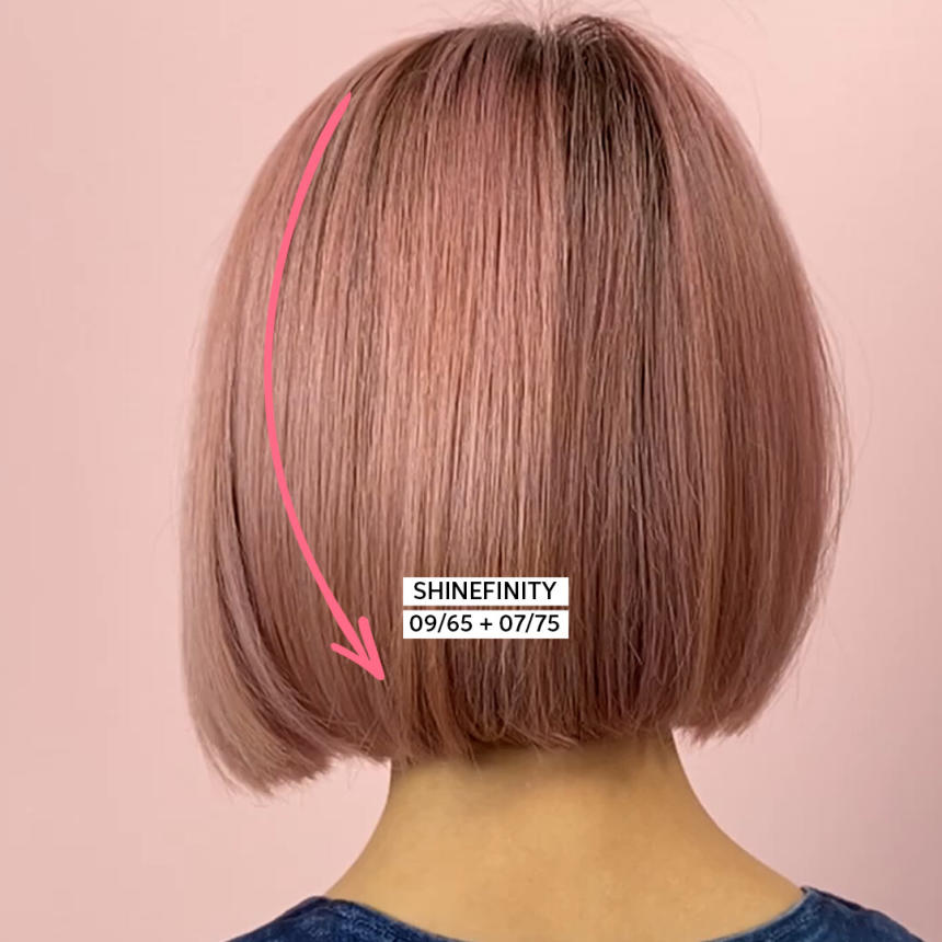 Shinefinity  SoMe Education SinMei.jpg