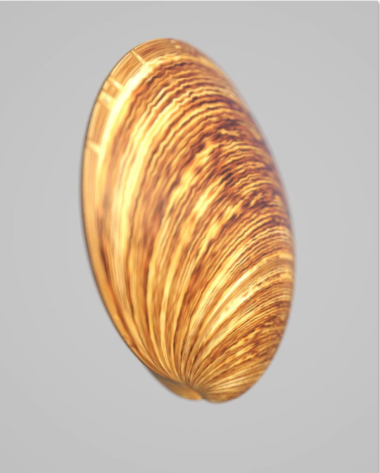 Color Fresh Mask _Caramel-Glaze.mp4