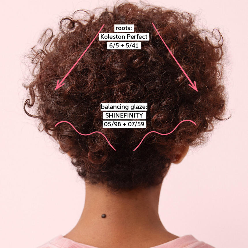 Shinefinity  SoMe Education Djenice.jpg