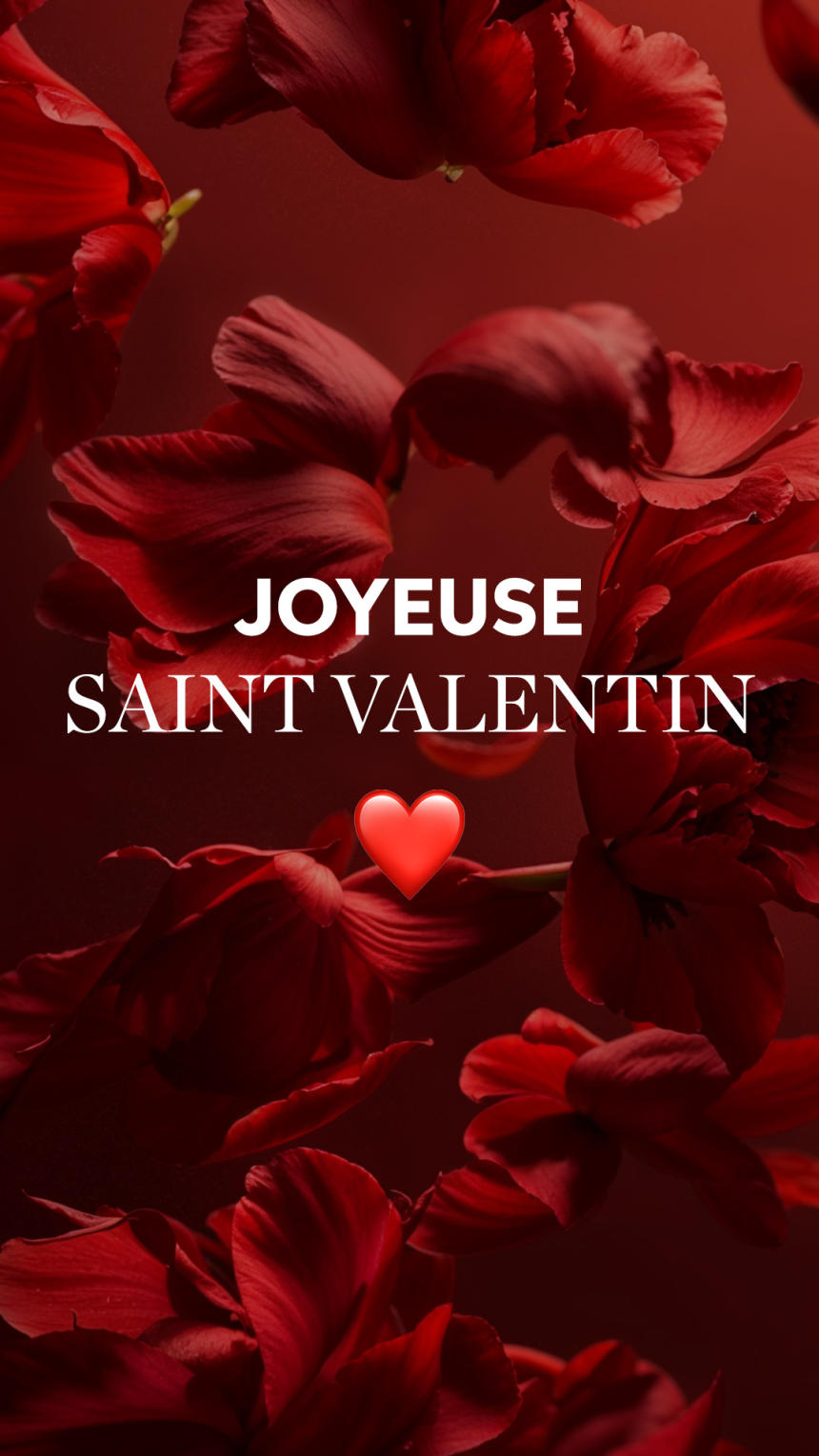 Post RS Saint Valentin Ultimate Repair