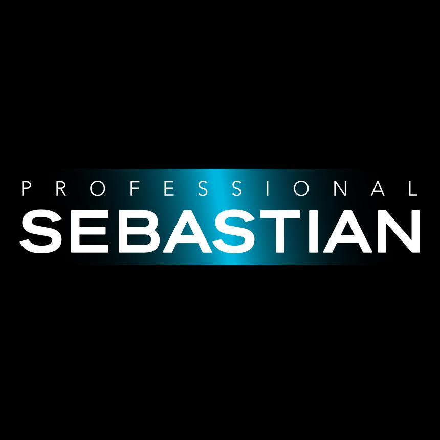 Sebastian Professional Logo