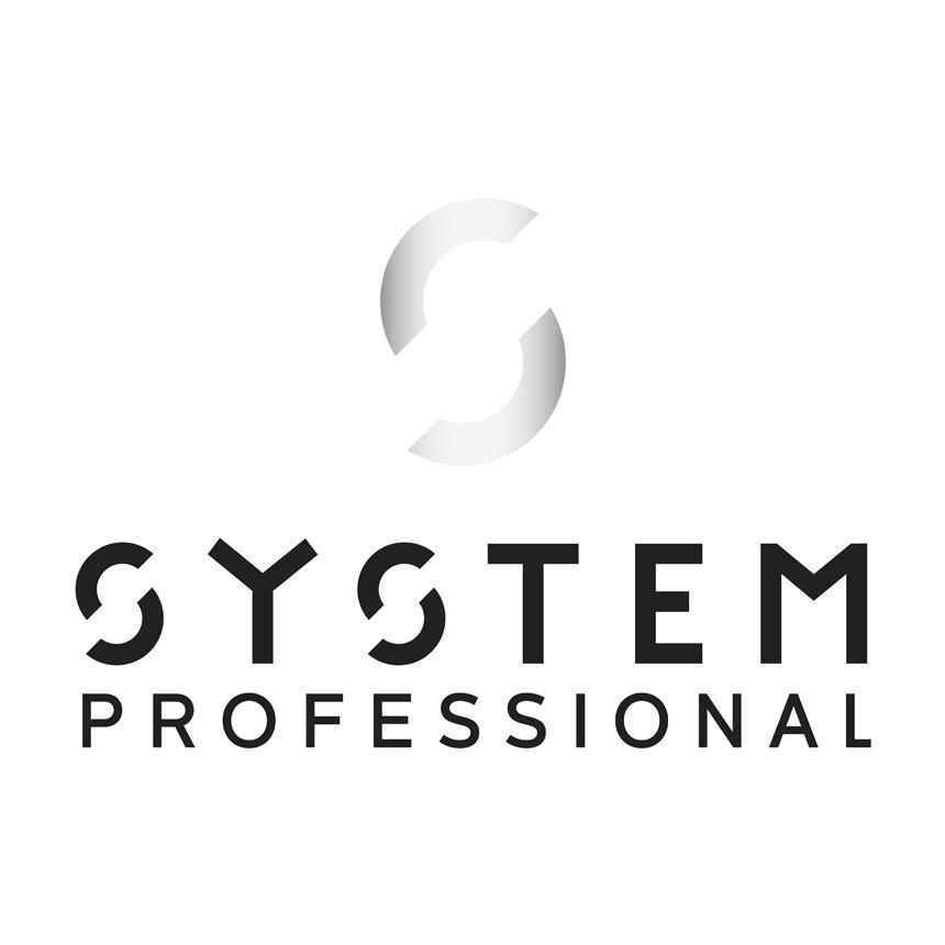 System Professional Logo Grad