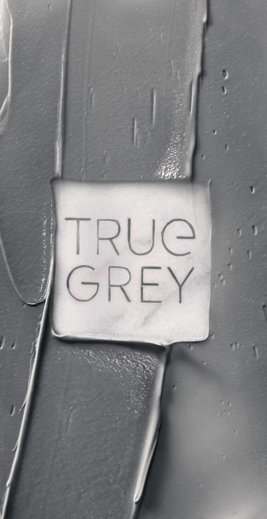 True-Grey S4G True-Grey-logo-on-texture.jpg