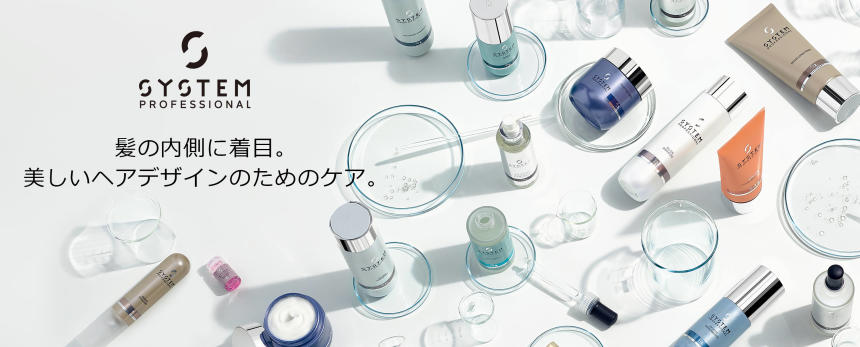 システムプロフェッショナル ブランドバナー