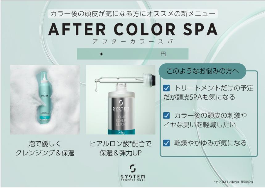 システムプロフェッショナル_NEW Scalp care_店頭POP_2