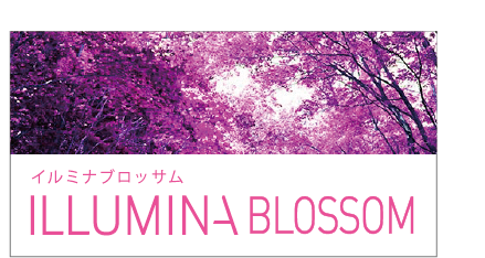 イルミナカラー シェード画像 (BLOSSOM)