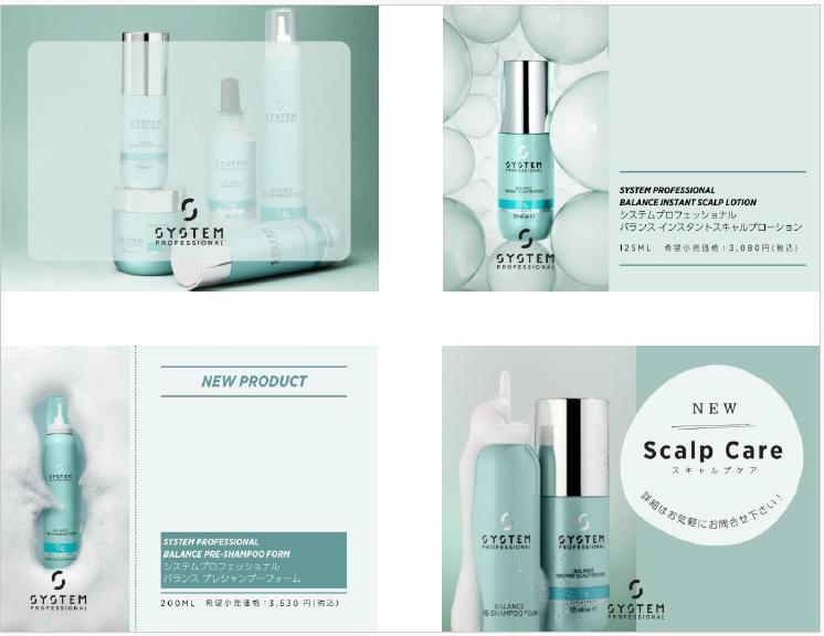 システムプロフェッショナル_New Scalp Care_プライスPOP_7×5.3 cm_まとめ