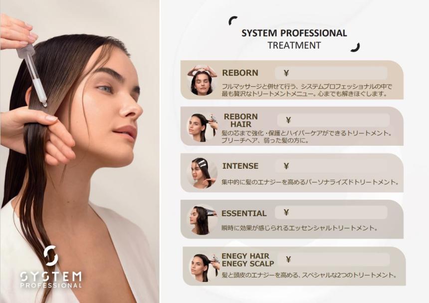 システムプロフェッショナル_フォーカスライン プライスPOP