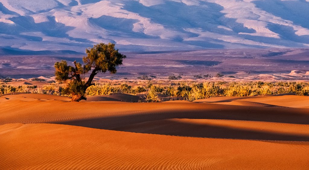 Escape reality and travel through sound with Sonic Escapes