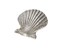 Shells