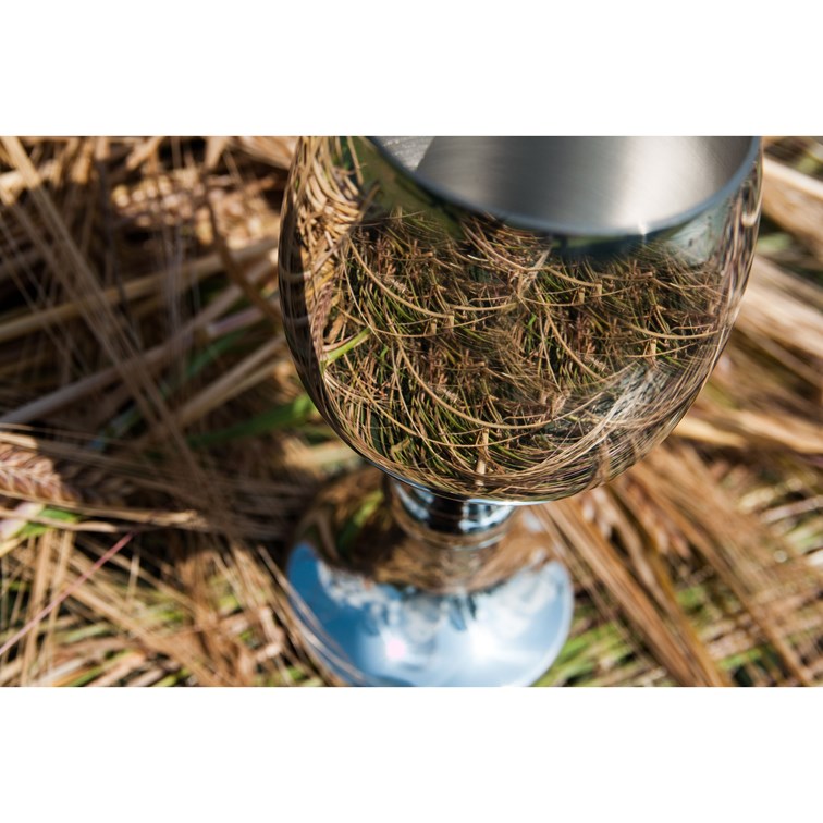 Tulip Pewter Goblet Tulip Pewter Goblet