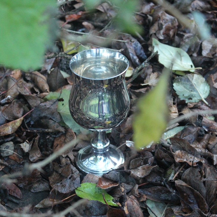 Large Georgian Pewter Goblet Large Georgian Pewter Goblet