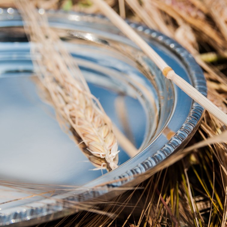 Small Gadroon Rim Pewter Tray Small Gadroon Rim Pewter Tray