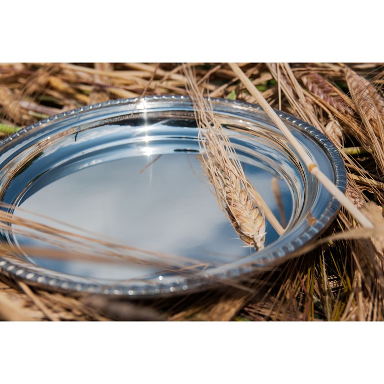 Small Gadroon Rim Pewter Tray Small Gadroon Rim Pewter Tray