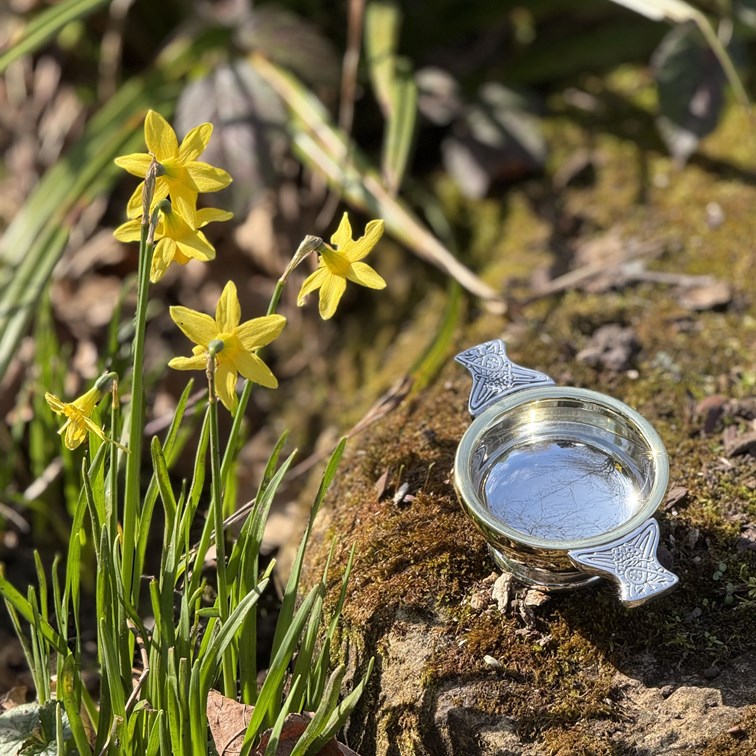 Small Brass Rim Pewter Quaich