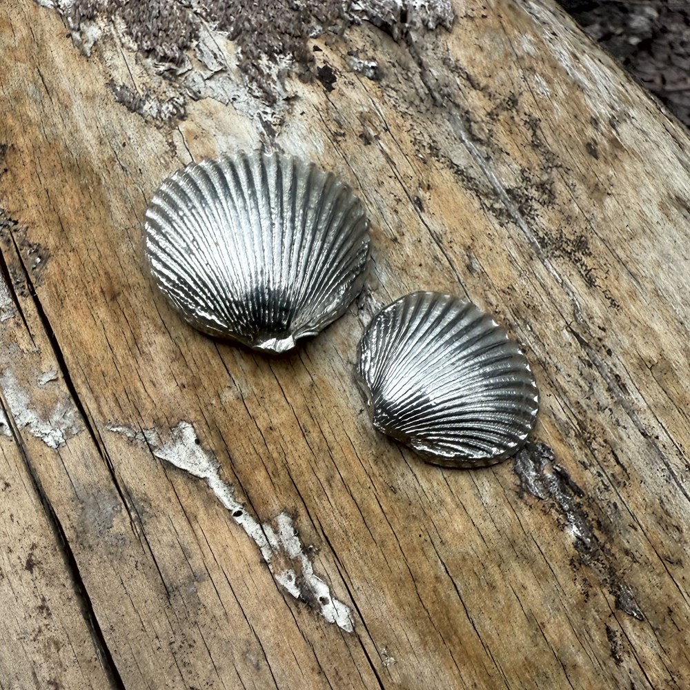 Cast Pewter Small Cockle Shell Ornament