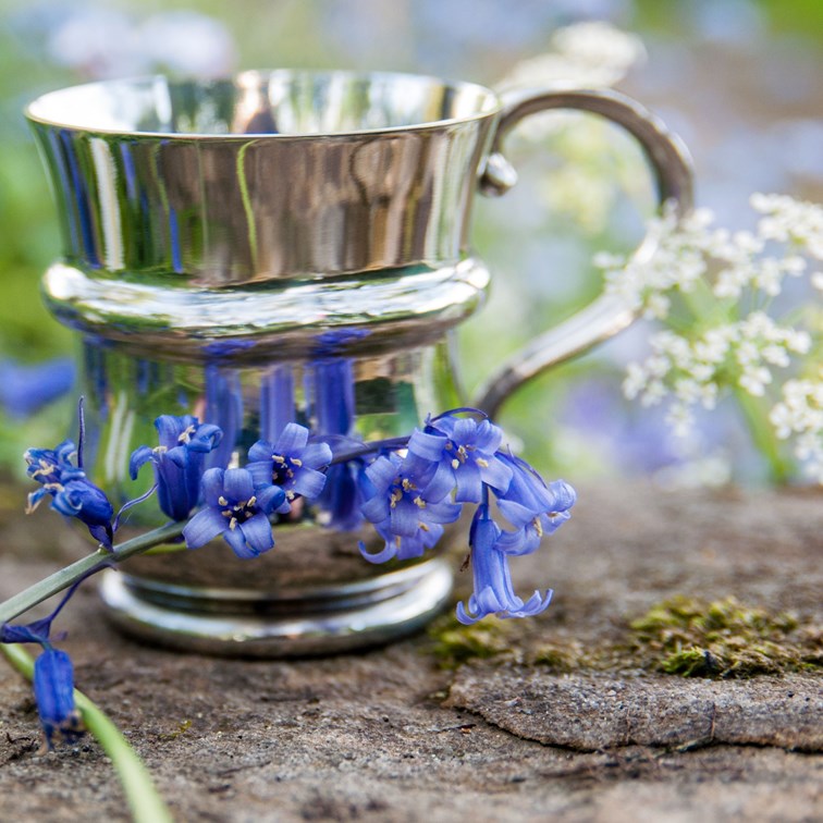 Thistle Shaped Quarter Pint Pewter Baby Mug Thistle Shaped Quarter Pint Pewter Baby Mug