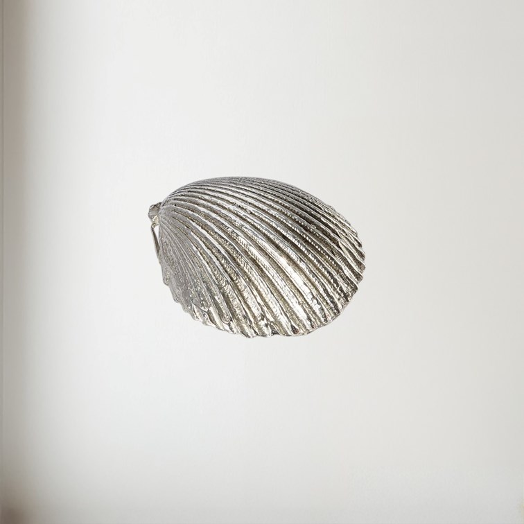 Cast Pewter Large Cockle Shell Ornament Cast Pewter Large Cockle Shell Ornament