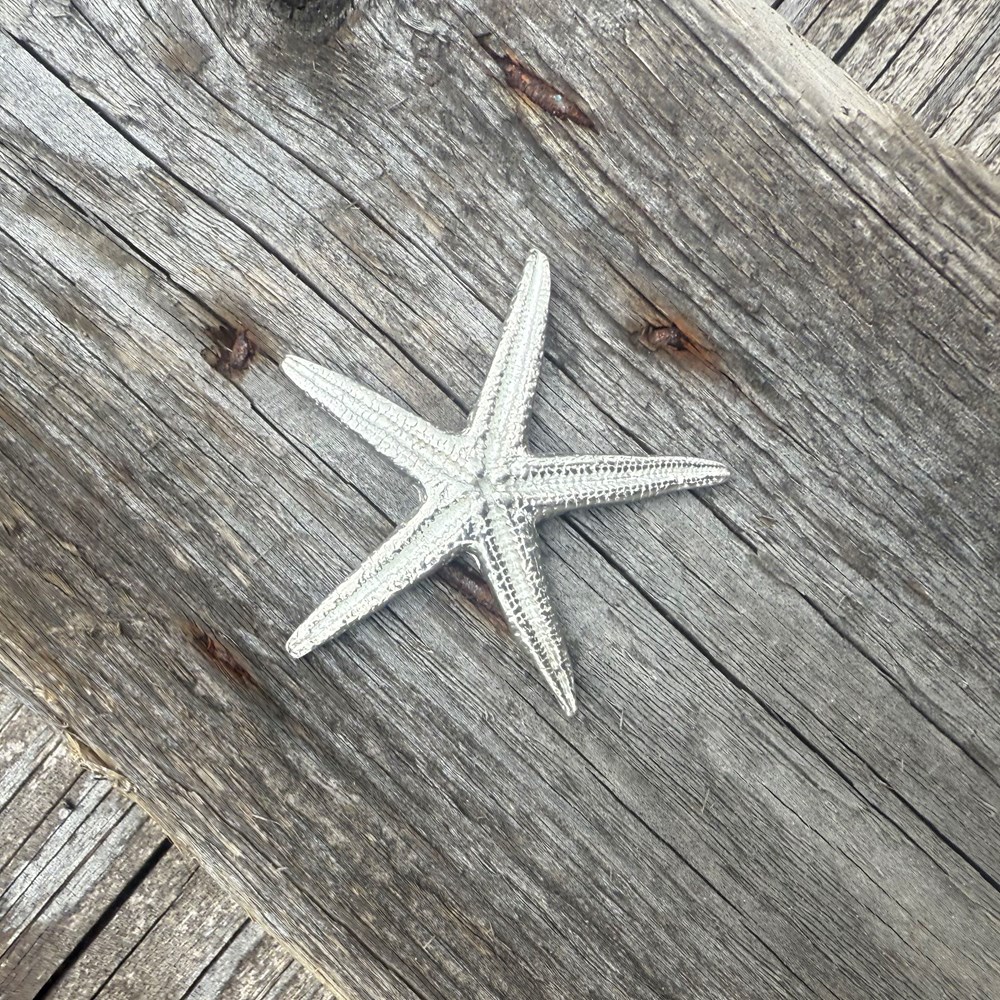 Cast Pewter Baby Starfish Ornament