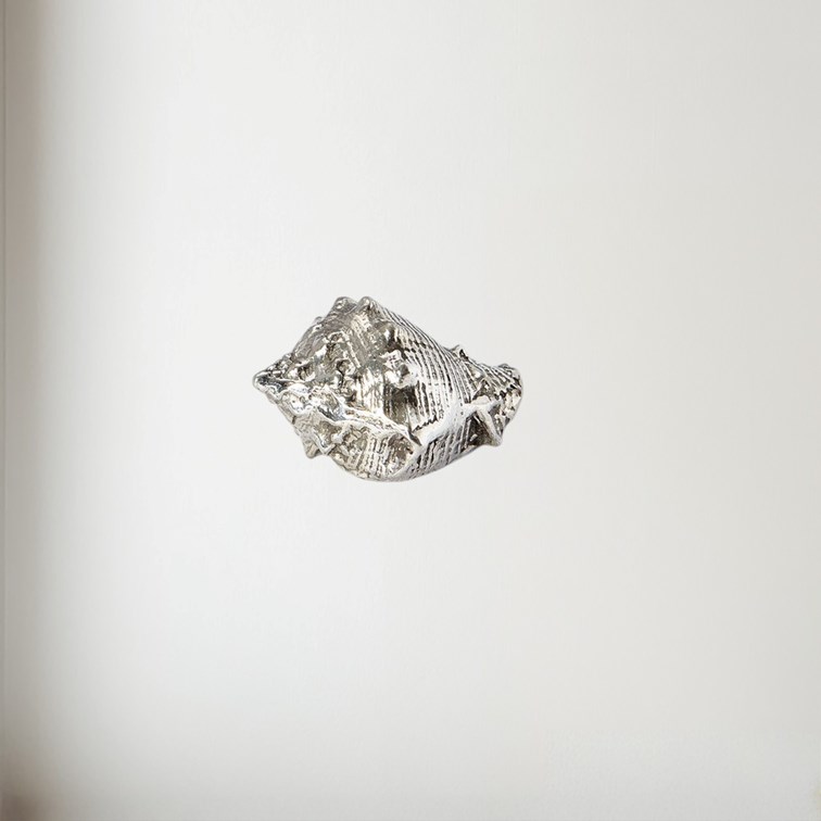 Cast Pewter Conch Shell Ornament Cast Pewter Conch Shell Ornament