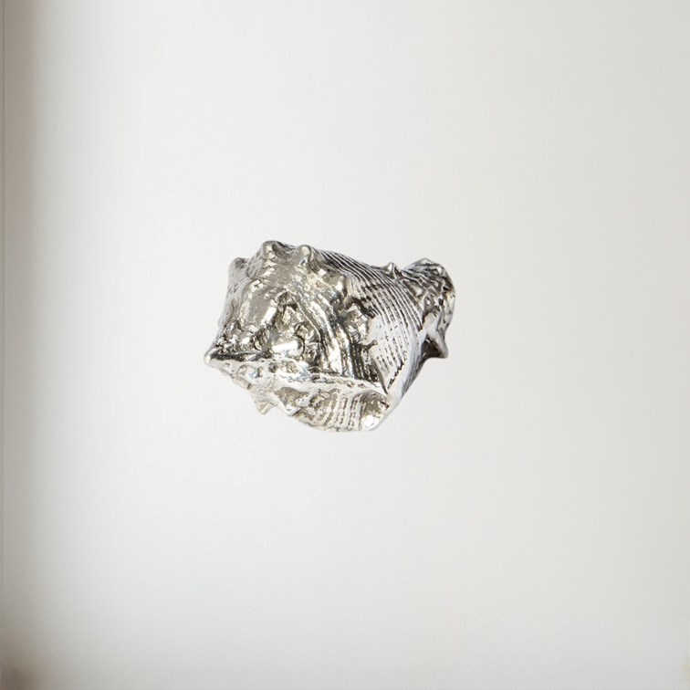 Cast Pewter Conch Shell Ornament Cast Pewter Conch Shell Ornament