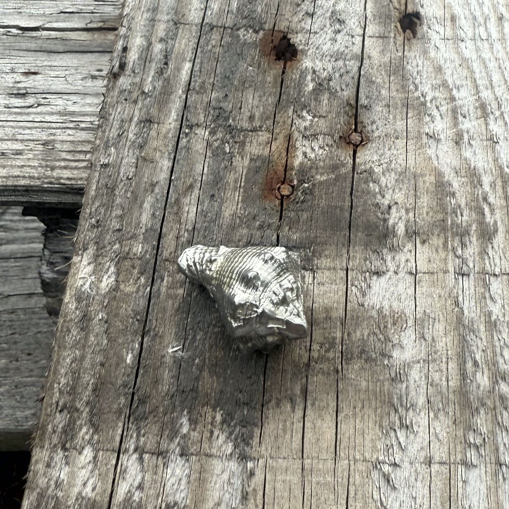 Cast Pewter Conch Shell Ornament Cast Pewter Conch Shell Ornament