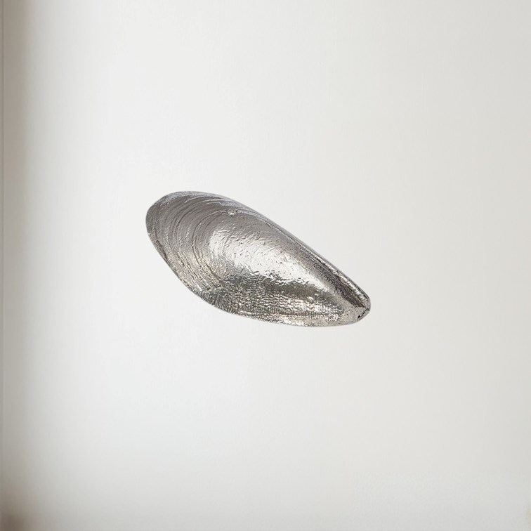 Cast Pewter Mussel Shell Ornament Cast Pewter Mussel Shell Ornament