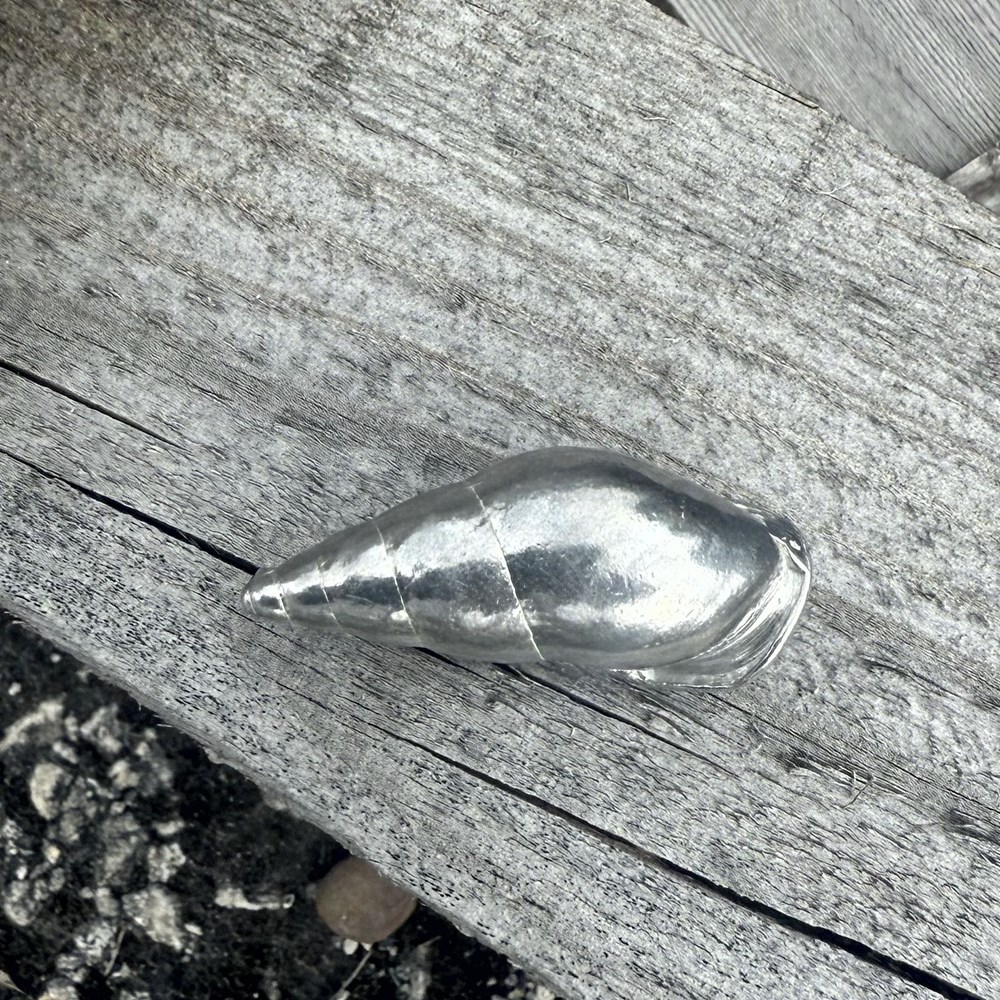 Cast Medium Spiral Shell Ornament Cast Medium Spiral Shell Ornament