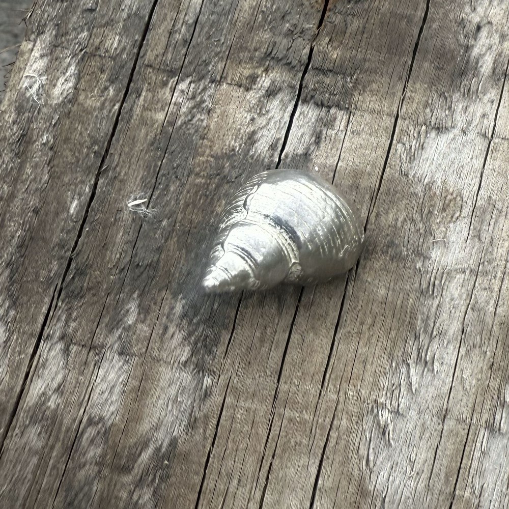 Cast Pewter Small Spiral Shell Ornament
