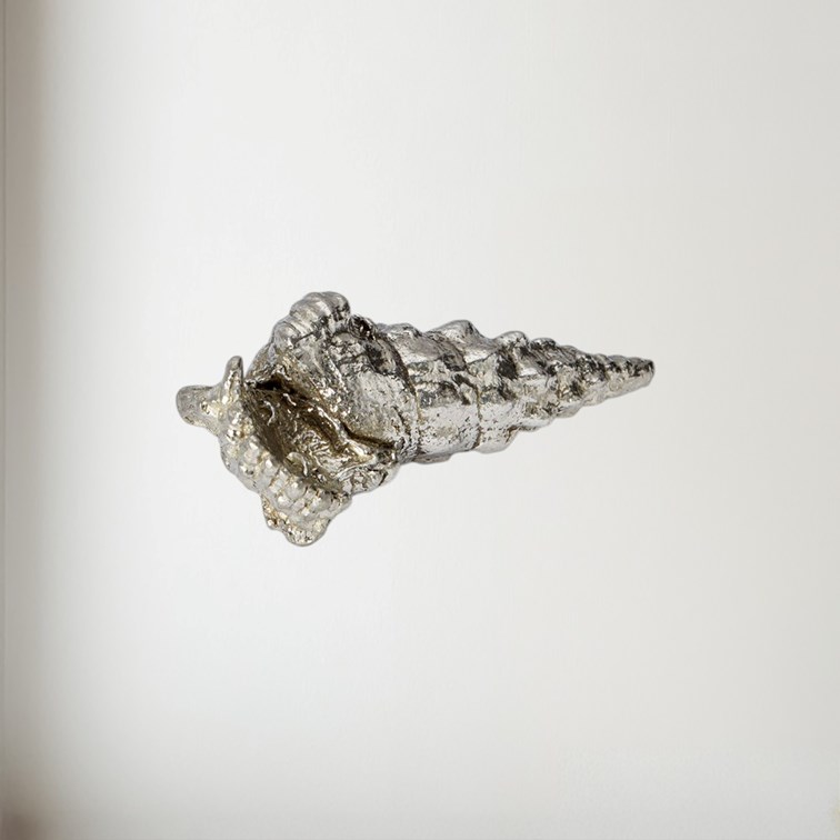 Cast Pewter Large Ceritch Shell Ornament Cast Pewter Large Ceritch Shell Ornament