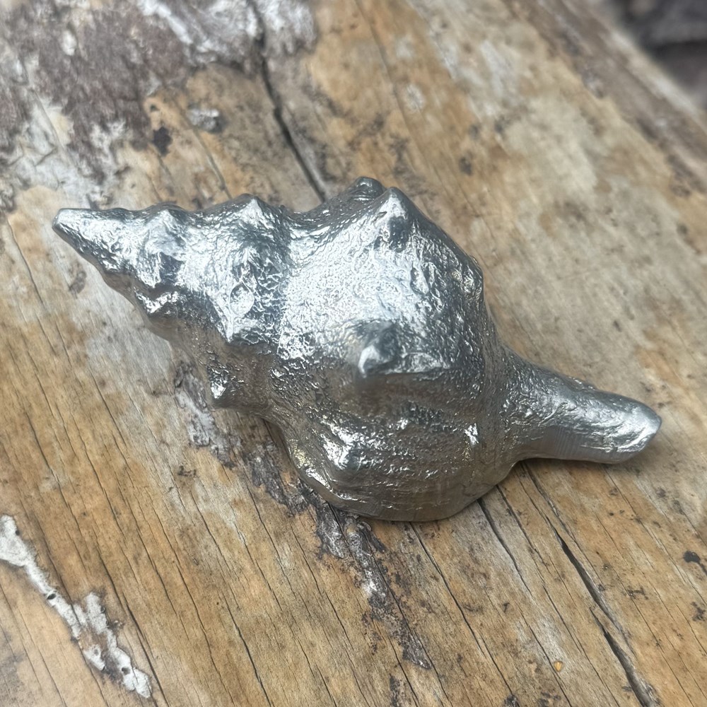 Cast Pewter Tulip Shell Ornament Cast Pewter Tulip Shell Ornament