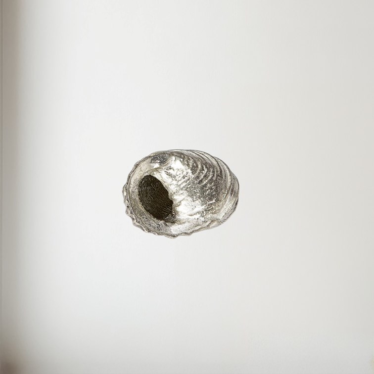 Cast Pewter Flat Spiral Shell Ornament Cast Pewter Flat Spiral Shell Ornament