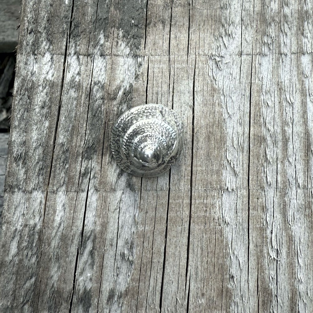 Cast Pewter Periwinkle Ornament