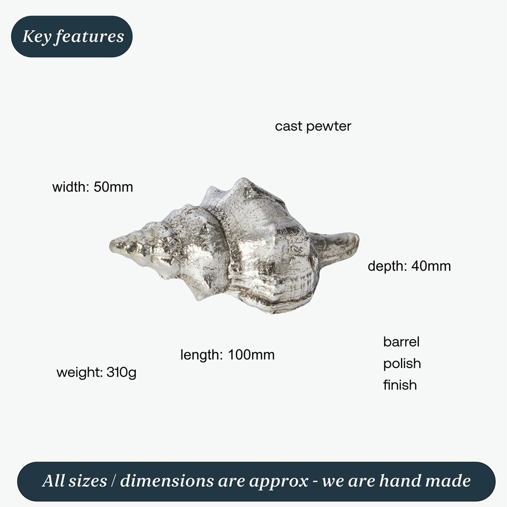 Cast Pewter Tulip Shell Ornament Cast Pewter Tulip Shell Ornament