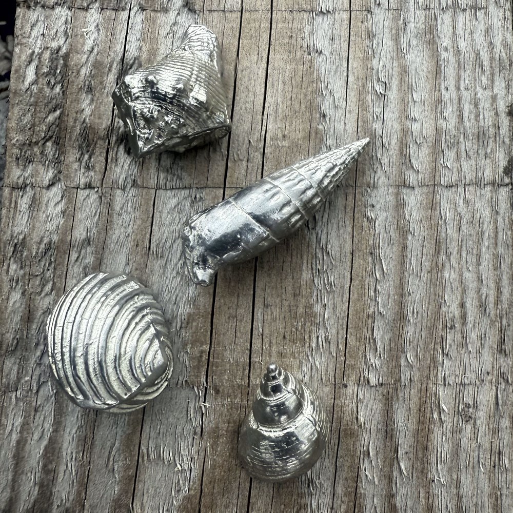 Cast Pewter Conch Shell Ornament Cast Pewter Conch Shell Ornament