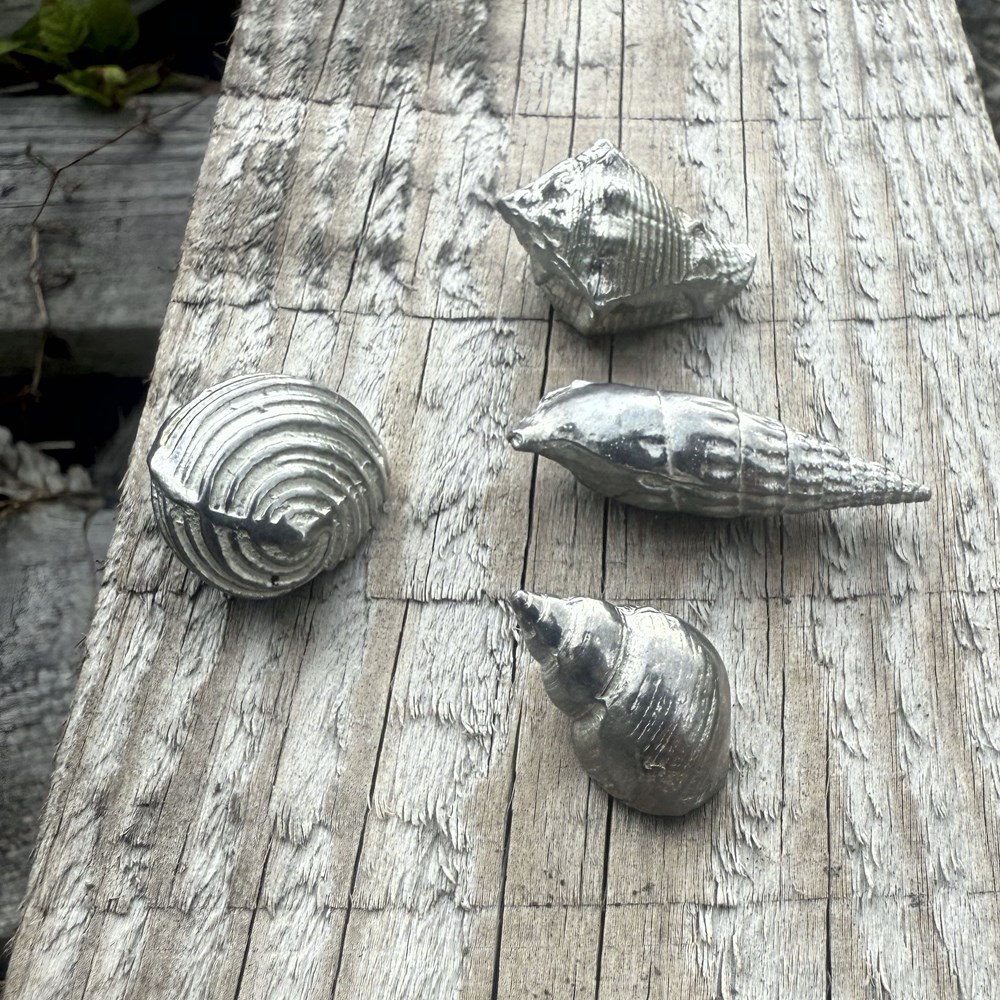 Cast Pewter Small Ceritch Shell Ornament Cast Pewter Small Ceritch Shell Ornament