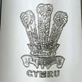 Prince Of Wales Feathers One Pint Pewter Tankard