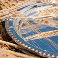 Small Gadroon Rim Pewter Tray