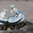 First Tooth Teddy Pewter Trinket Box