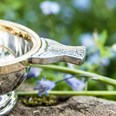 Large Brass Rim Pewter Quaich