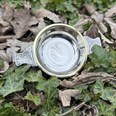 Medium Brass Rim Pewter Quaich