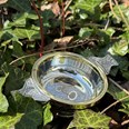 Standard Brass Rim Pewter Quaich