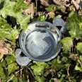 Standard Paisley Pewter Quaich