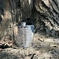 4oz Tree Of Life Tree Pewter Kidney Flask