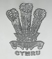 6oz Prince Of Wales Feathers Pewter Kidney Flask   Prince of Wales Feathers Pattern on Pewter